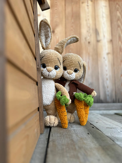Crochet Pattern Peter Rabbit and Benjamin Bunny