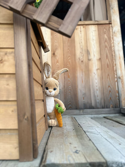 Crochet Pattern Peter Rabbit and Benjamin Bunny